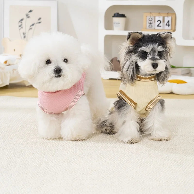 Cute Bear Dog Clothes for Small Dogs Summer Puppy T Shirt Pet Dog Vest Chihuahua Bichon Thin Hoodies with D-Ring Dog Apparels
